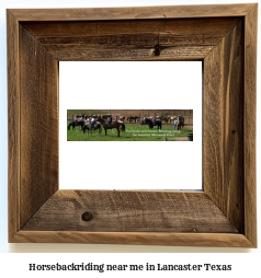 horseback riding near me in Lancaster, Texas